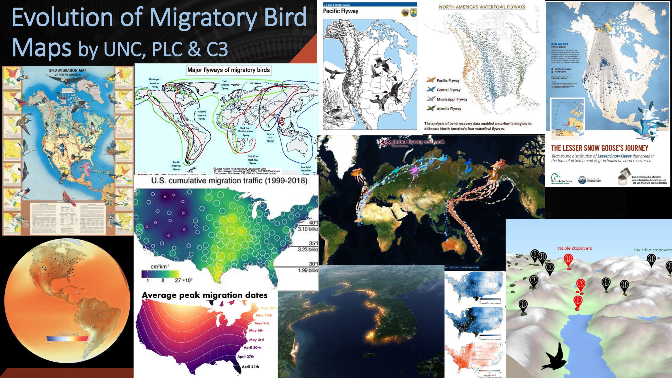 Evolution of Migratory Bird Maps, Phil Harrison