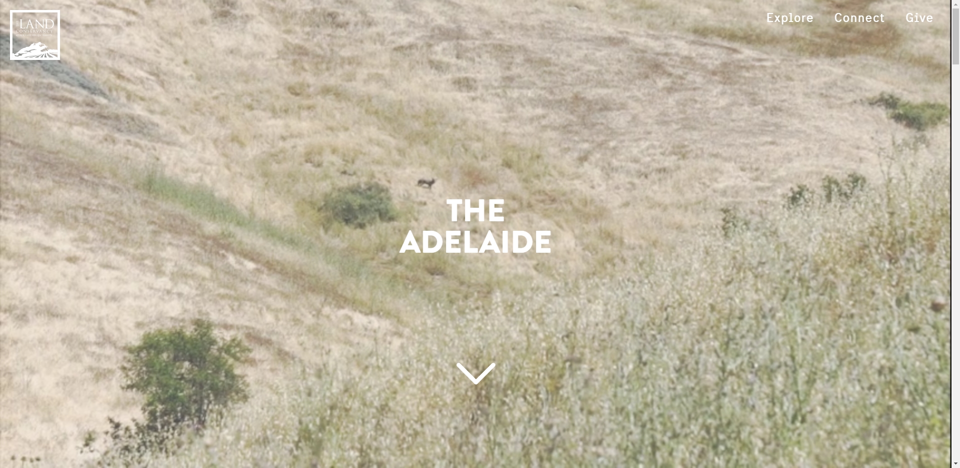 Protect the Adelaide, Kyle Walsh
